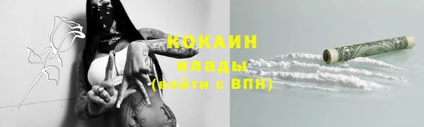 винт Мегион