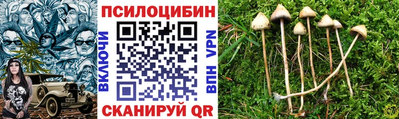 Галлюциногенные грибы мухоморы  Купить закладки  Алдан 